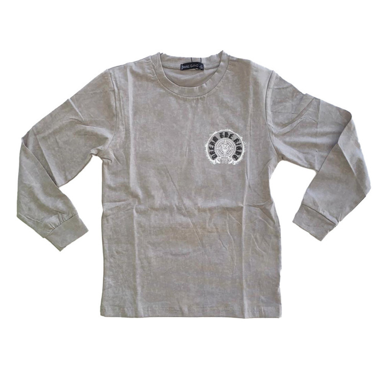 Immagine di Maglia ragazzo autunno Small Gang Art. P6705